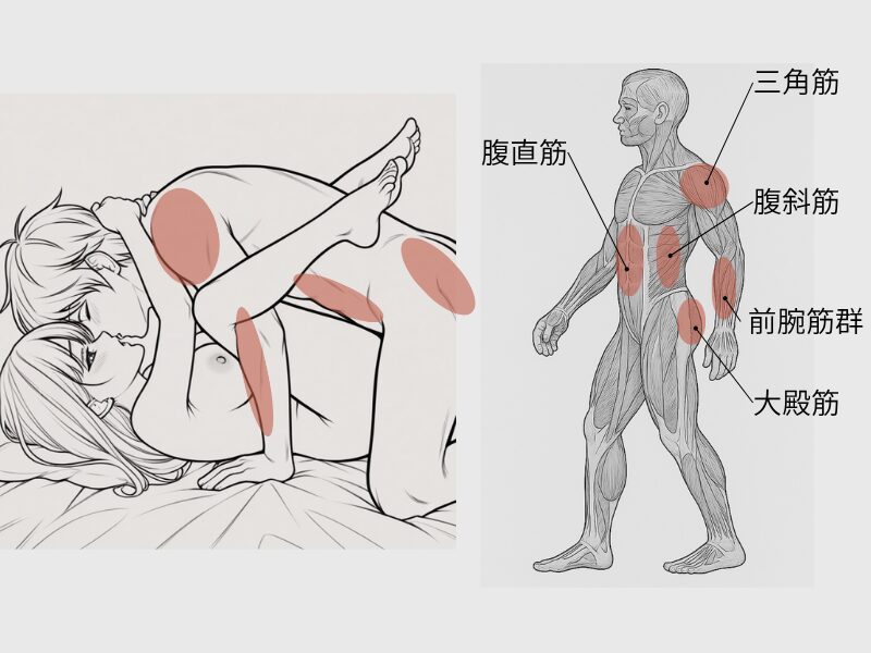 覆い被さって脚を拘束し支配を感じさせる_インナーマッスル＋腕肩の筋肉