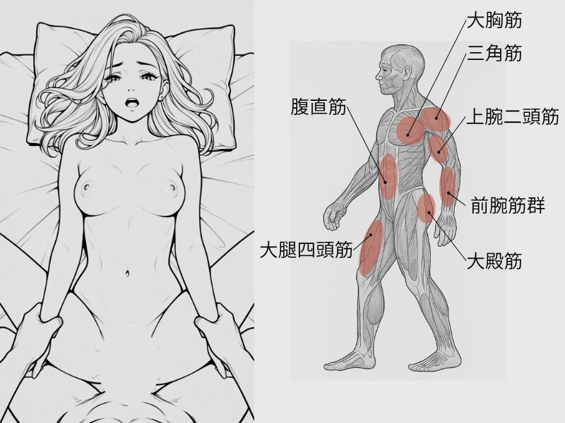 腕を引っ張り乱暴さを演出_大腿四頭筋をメインに使い腕肩胸筋で相手を引っ張る行為