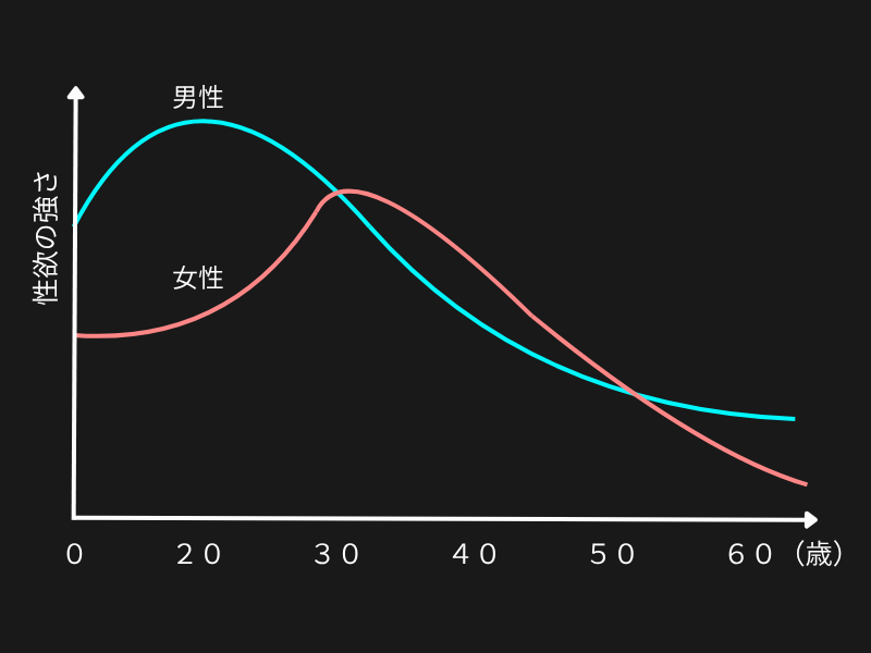 年齢と性欲の波_男女の差
